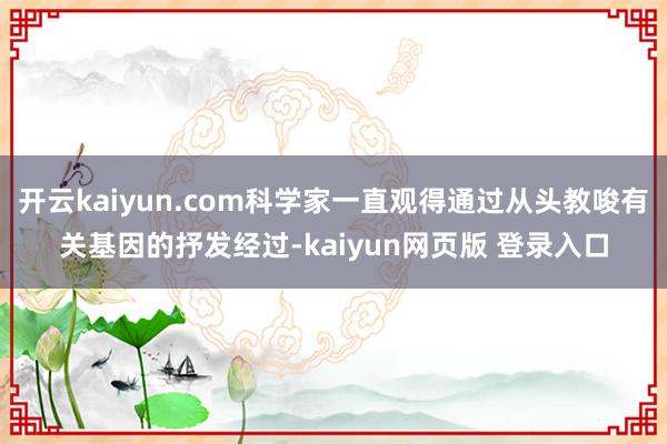 开云kaiyun.com科学家一直观得通过从头教唆有关基因的抒发经过-kaiyun网页版 登录入口