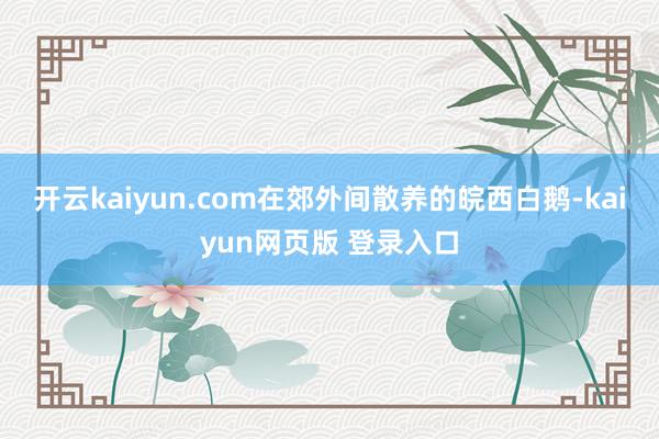 开云kaiyun.com在郊外间散养的皖西白鹅-kaiyun网页版 登录入口