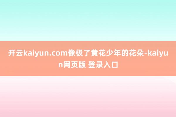开云kaiyun.com像极了黄花少年的花朵-kaiyun网页版 登录入口